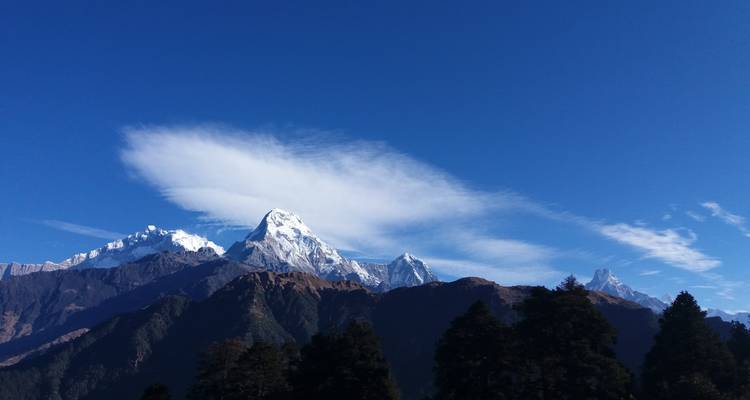 Ghorepani Poon Hill Budget Trek - Sherpa Expedition & Trekking Pvt. Ltd. 2