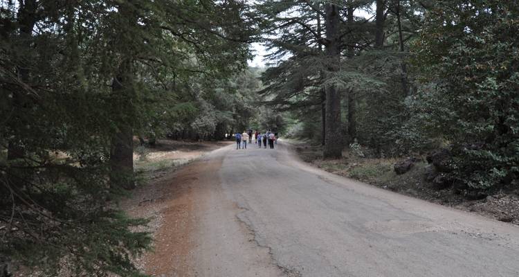 Trek dans les montagnes du RIF - Morocco Discoveries 2