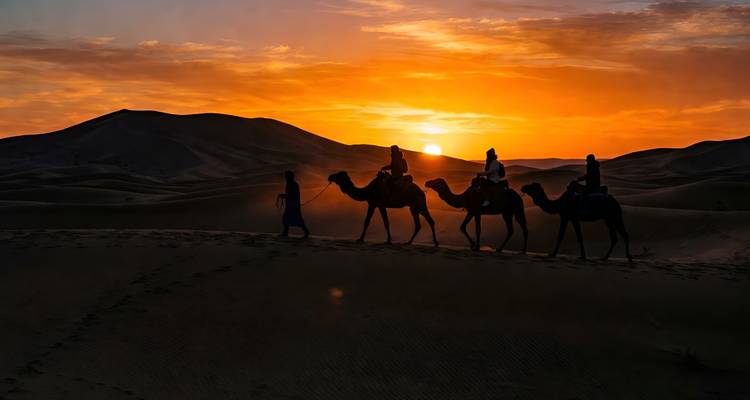 Caravane de chameaux en silhouette menée par un guide à travers les dunes du désert au coucher de soleil orange vif