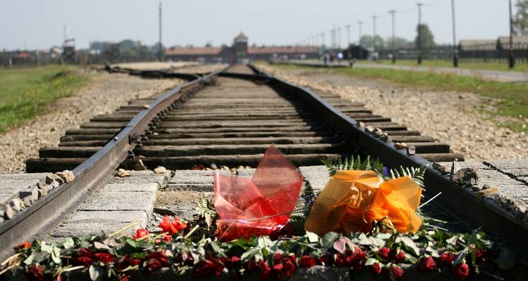 Cracovie, Auschwitz et la mine de sel de Wieliczka - 4 jours - Krakow Tour Guide 4