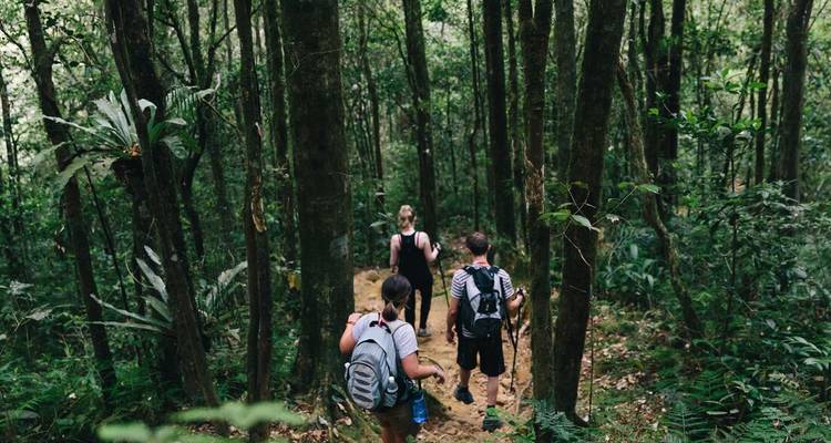 Kleine groep die een zandpad afdaalt door dicht tropisch bos