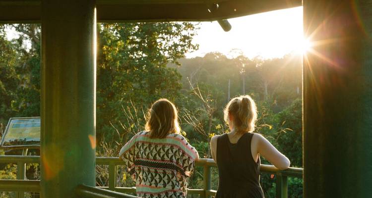 Twee reizigers op een verhoogd uitkijkpunt kijkend over regenwoud bij zonsopgang