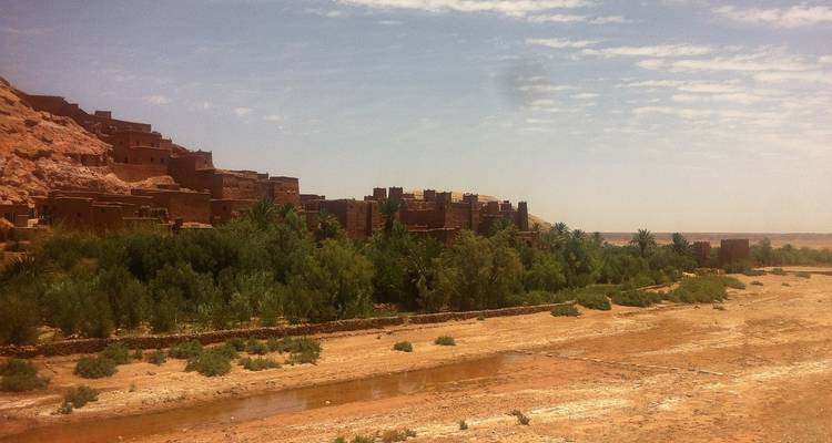 Village du désert avec des arbres épars sous un ciel nuageux