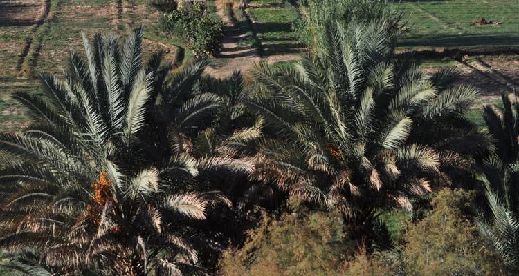 Circuit terrestre au Maroc et au Sahara - Morocco Discoveries 4