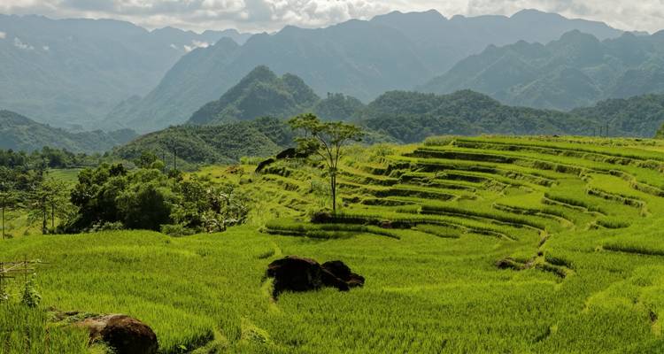 Terrassenförmige Reisfelder, die sich zu nebligen blauen Bergketten hin erstrecken unter teilweise bewölktem Himmel