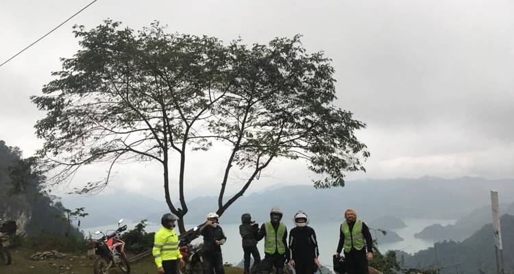 Motorradfahrer in Sicherheitswesten halten unter einem einsamen Baum an einem nebligen Bergaussichtspunkt an.