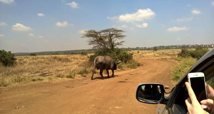 3 jours d'aventure en groupe à Samburu - 30% de réduction - Smile view Kenya tours and travel 6