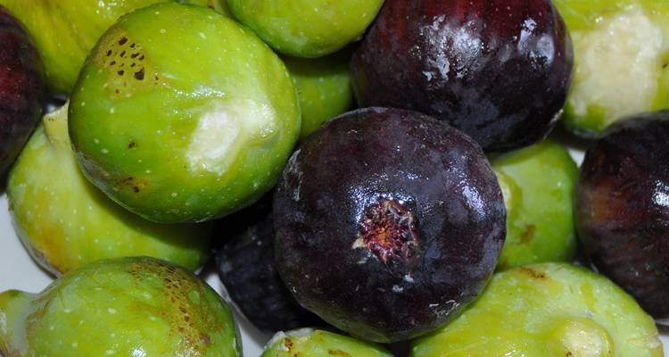 Eine Sammlung frischer Feigen in grünen und dunkelvioletten Farben.