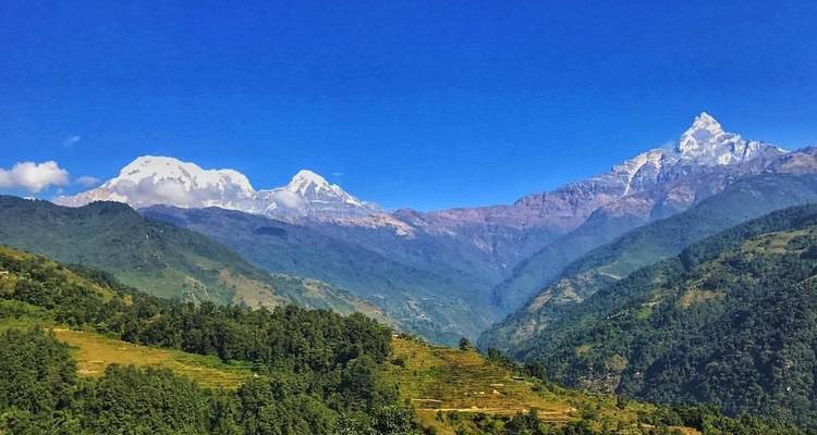 Senderismo Dhampus con visitas a Katmandú - 8 días - Himalayan Sanctuary Adventure 7