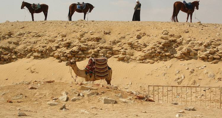 Wonders of Egypt 10 Days /9 Nights( Comfort Plus ) - Across Africa Tours & Travel 4