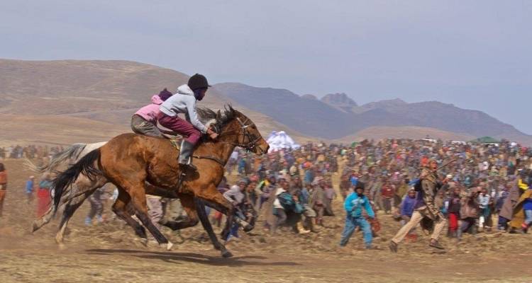 Addo, Lesotho & Drankensburg Experience 7Days/6 Nights ( Comfort) - Across Africa Tours & Travel 7