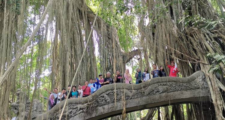 Group of people standing on a bridge surrounded by banyan trees.