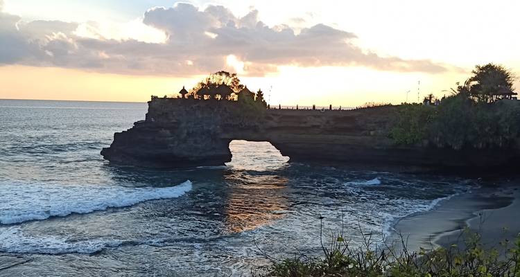 Coastal rock formation with trees at sunset.