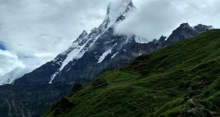 Snow-capped mountain peak with green foreground.