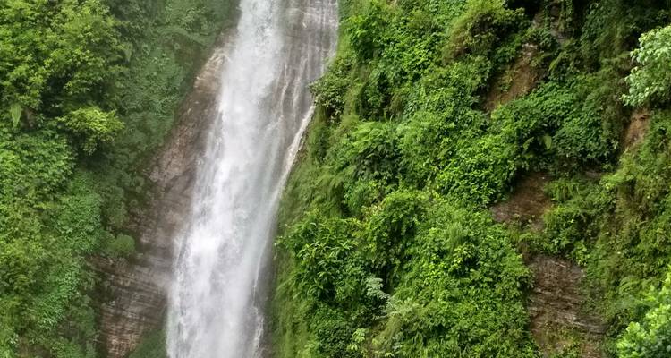 A waterfall surrounded by lush greenery.