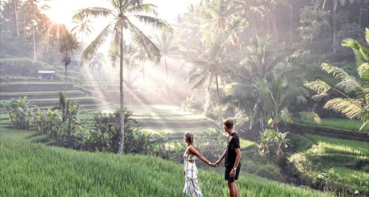 Pareja tomada de la mano en un pintoresco campo de arroz en terrazas.