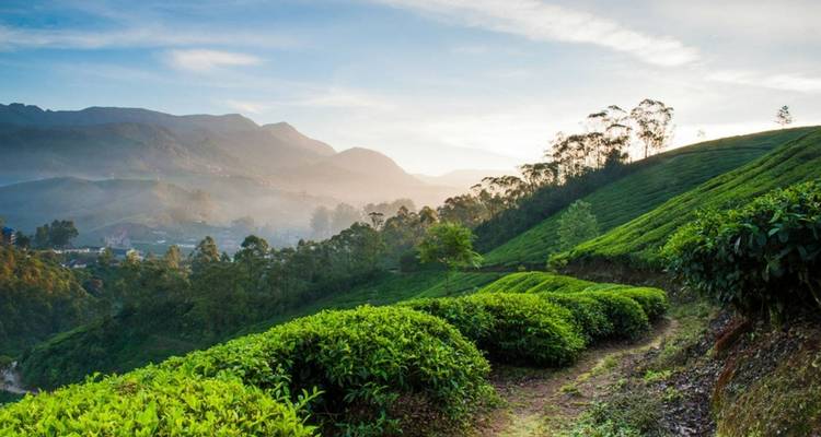 Hoteles fragantes especial Kerala - Kerala Holiday Club 3