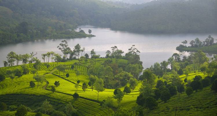 Hoteles fragantes especial Kerala - Kerala Holiday Club 1
