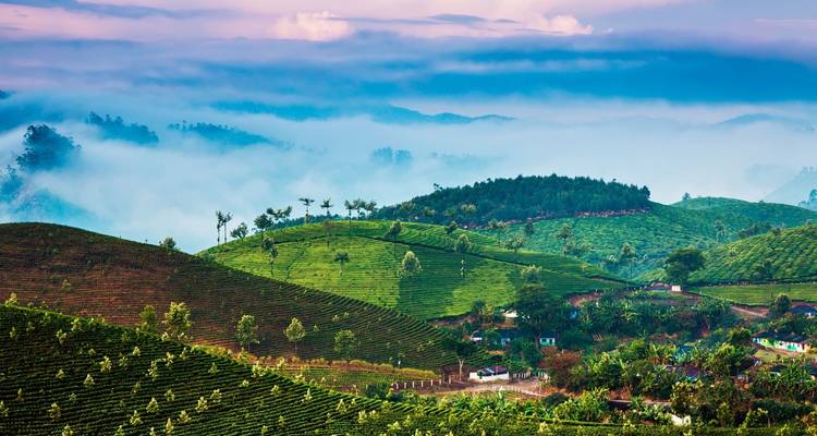 Kerala 9 Nights Special - Kerala Holiday Club 2