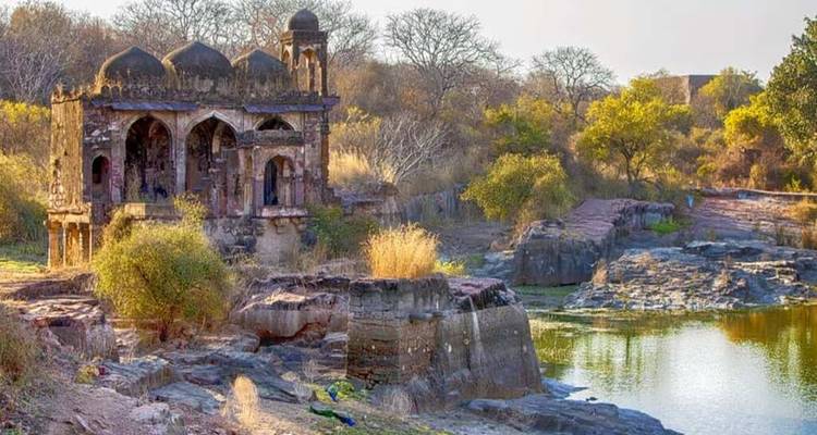 Delhi - Agra - Jaipur avec le safari des tigres de Ranthambore : 6 jours - India Arrivals Tours 4