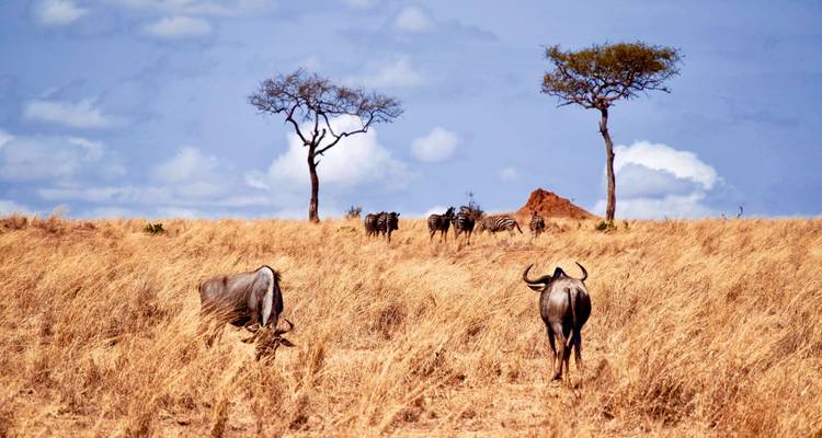 Northern Tanzania Circuit (Camping) - 6 Days - Muraa African Safaris 2