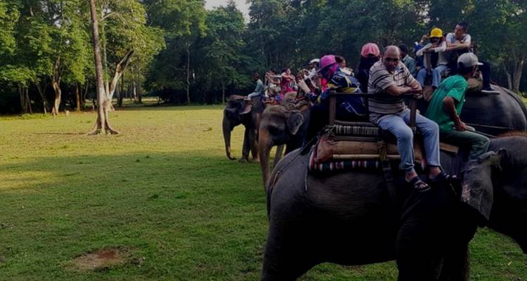 Safari dans la jungle de Chitwan - Himalayan Trekking Path P.Ltd 2
