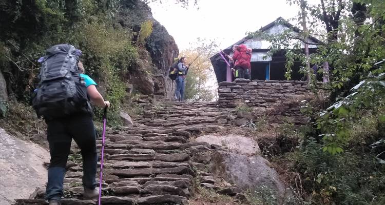 Senderismo Mardi Himal - Himalayan Trekking Path P.Ltd 1