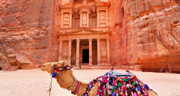 A camel in front of the iconic rock-carved Treasury in Petra, Jordan.