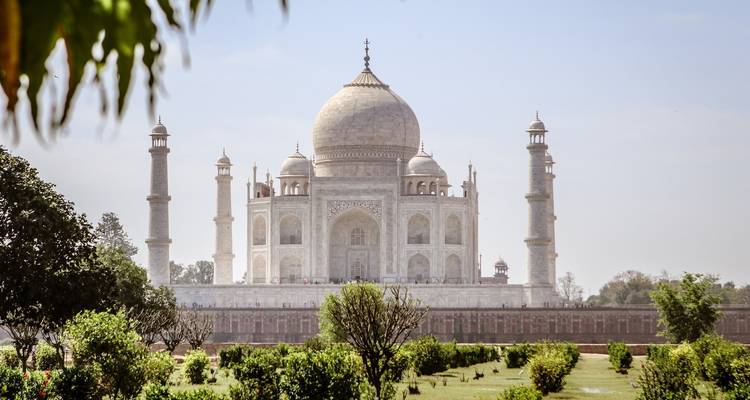 De Taj Mahal gezien vanaf een afstand met vegetatie op de voorgrond.