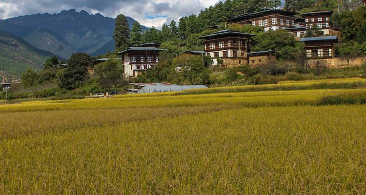 Royal Bhutan Tour - Asian Heritage Treks & Expeditions 2