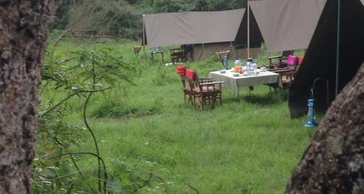 Ruta de 5 días por el Serengeti - Muraa African Safaris 10