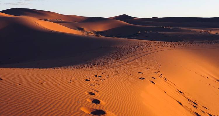 Sand dunes with intricate patterns in the desert.