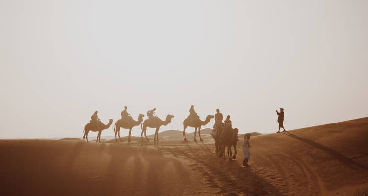 Camel caravan in the desert under dramatic skies.