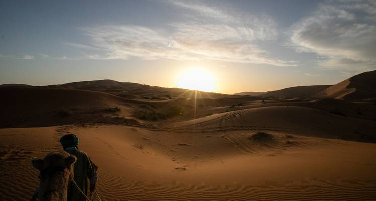 Camel ride in the desert at sunrise.