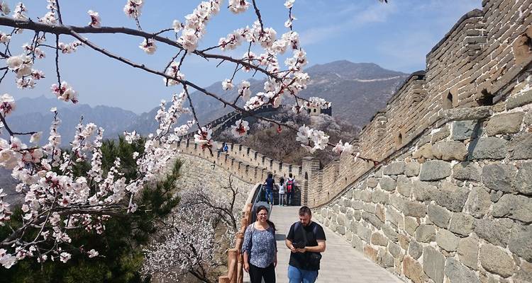 Tour Clásico de China de 15 Días Hecho a Medida, Guía y Conductor Privados - TravelChinaGuide 9