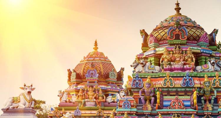 Incroyable voyage en Inde du Sud - World Travel Experiences 1