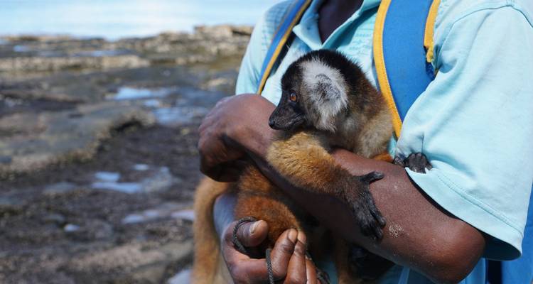 Madagascar Nosy Be Experience for 6 Days/5 Nights - Across Africa Tours & Travel 4