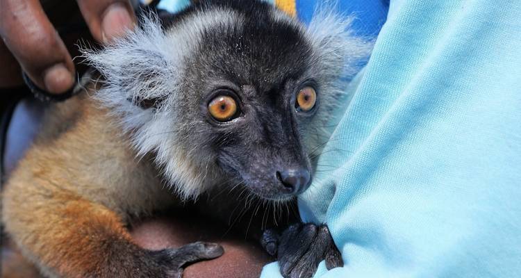 Madagascar Nosy Be Experience pour 6 jours/5 nuits - Across Africa Tours & Travel 7