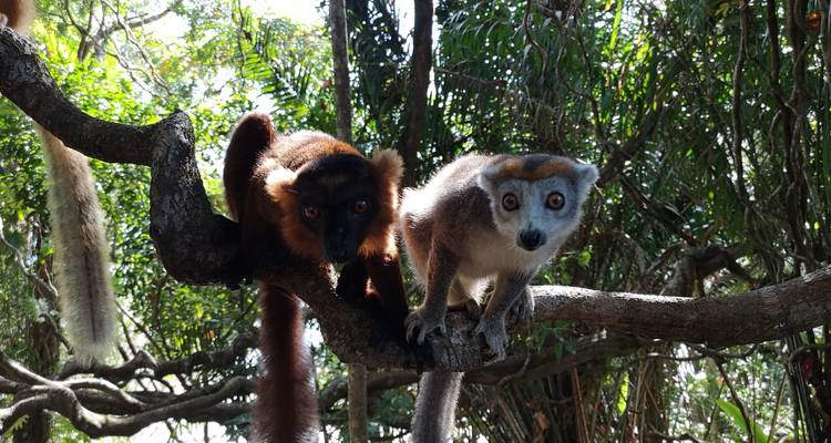 Descubrimiento del sur de Madagascar 9 días /8 noches - Across Africa Tours & Travel 5