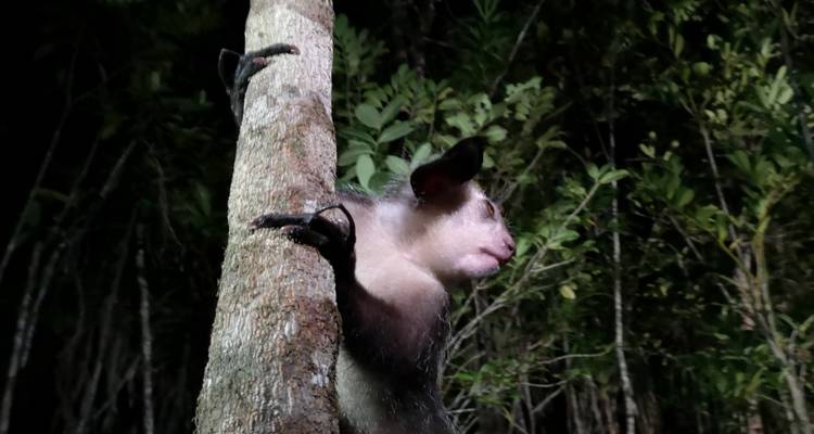 Descubrimiento del sur de Madagascar 9 días /8 noches - Across Africa Tours & Travel 6