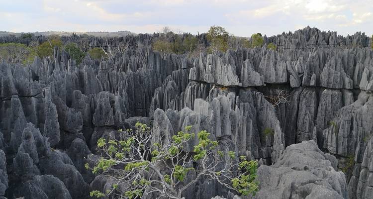 Descubrimiento del sur de Madagascar 9 días /8 noches - Across Africa Tours & Travel 10