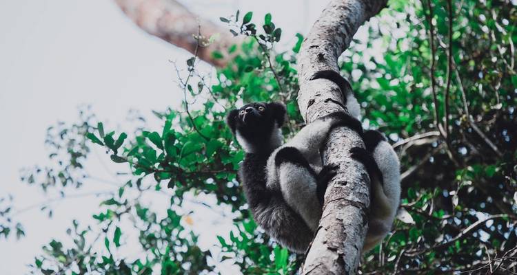 Descubrimiento del sur de Madagascar 9 días /8 noches - Across Africa Tours & Travel 7