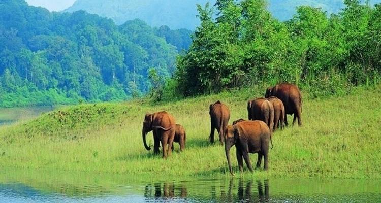 Circuit romantique au Kerala - World Travel Experiences 7