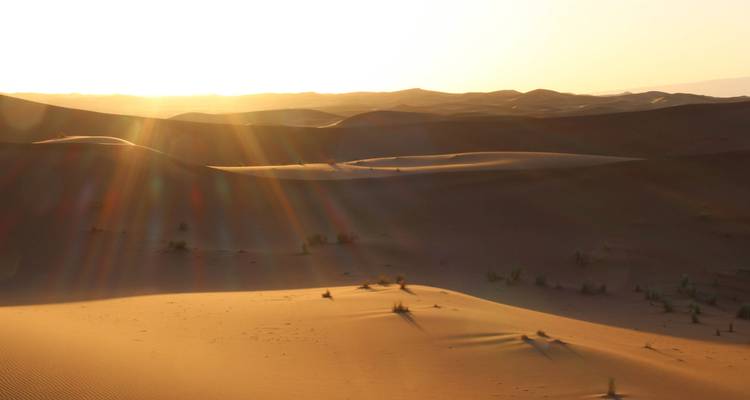 Sonnenuntergang über Sanddünen in der Wüste.