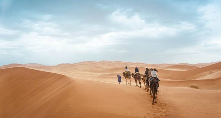 Kamelkarawane wandert durch die Wüste.