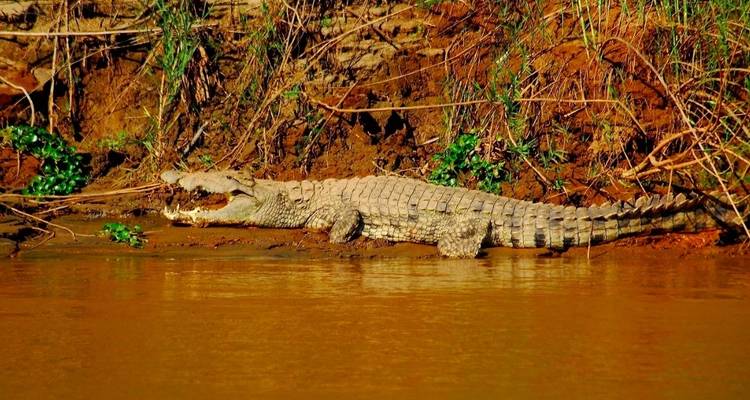 Madagascar Signature 22Days /21Nights ( Comfort) - Across Africa Tours & Travel 8