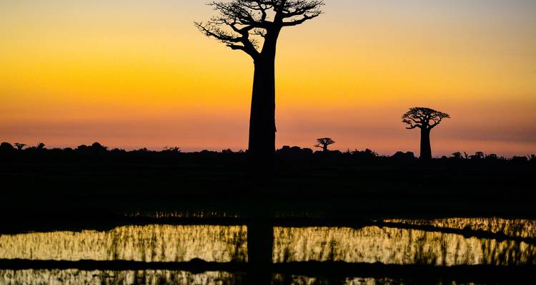 Madagascar Signature 22Days /21Nights ( Comfort) - Across Africa Tours & Travel 2