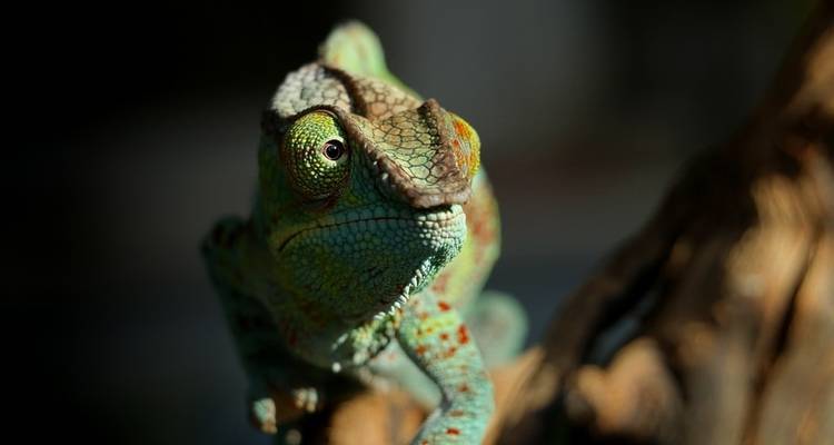 Madagascar Signature 22Days /21Nights ( Comfort) - Across Africa Tours & Travel 7