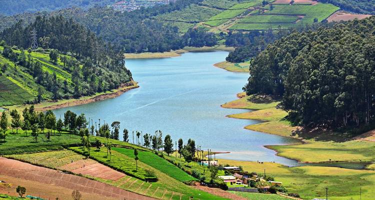 Circuito por los remansos de Kerala con Karnataka - World Travel Experiences 4