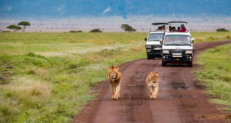 4 días Toque de naturaleza - gama media - Muraa African Safaris 4